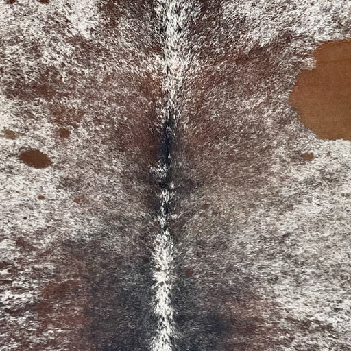 Closeup of this Tricolor Speckled Brazilian Cowhide, showing white with brown and black speckles and spots (BRSP3641)