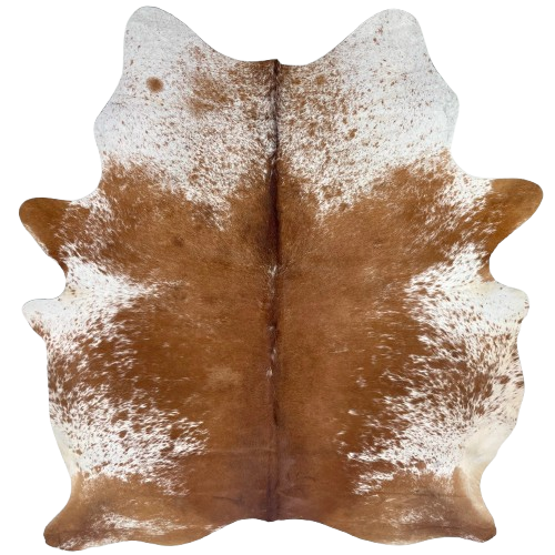 Reddish Brown and White Speckled Brazilian Cowhide: mostly solid reddish brown down the middle of the back, and white with reddish brown speckles and spots on the belly, shanks, and shoulder - 6'10" x 5'6" (BRSP3642)