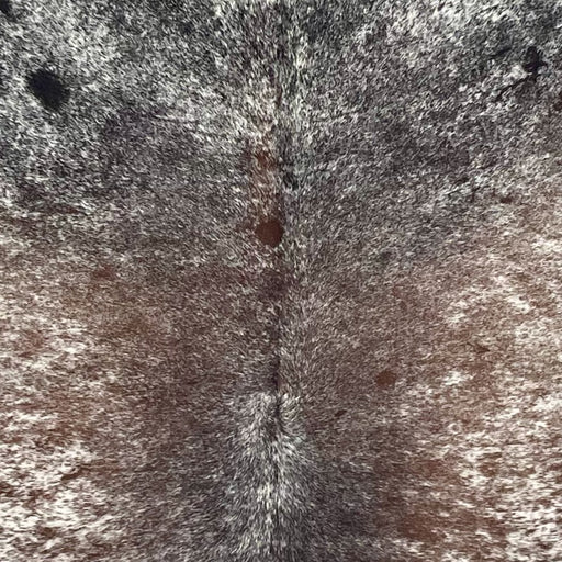 Closeup of. this Tricolor Speckled Brazilian Cowhide, showing white with brown and black speckles and spots  (BRSP3643)