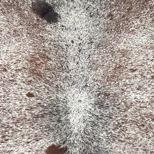 Closeup of this Tricolor Speckled Brazilian Cowhide, showing white with brown and black speckles and spots (BRSP3644)