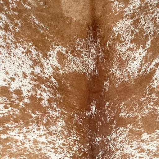 Closeup of this Speckled Brazilian Cowhide, showing white with brown speckles and spots (BRSP3645)