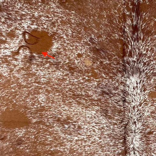 closeup of this Large Speckled Brazilian Cowhide, showing white with reddish brown speckles and spots, and one brand mark on the left side of the back  (BRSP3649)
