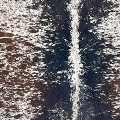 Closeup of this Tricolor Speckled Brazilian Cowhide, showing white with brown, black, and brownish black speckles and spots (BRSP3651)