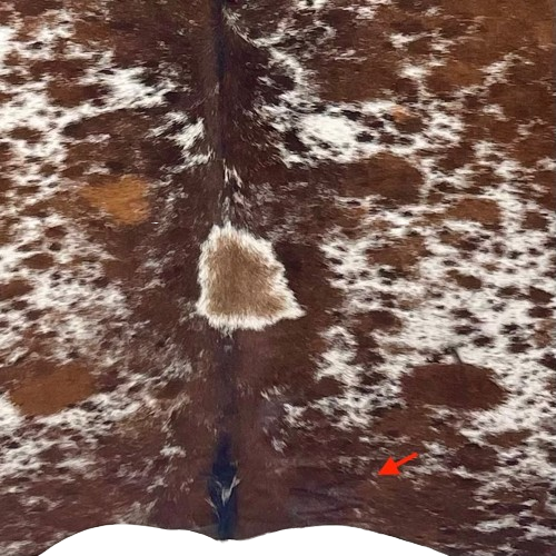 Closeup of this brown and white Speckled Brazilian Cowhide, showing one brand mark on the right side of the butt (BRSP3652)