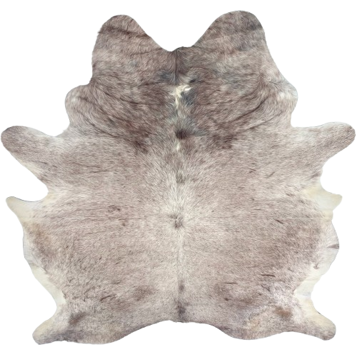 XL Brown and White Speckled Brazilian Cowhide: white with brown speckles and spots, a touch of black on the shoulder and butt, and longer hair down the spine and on the shoulder and belly - 8'2" x 6'6" (BRSP3653)