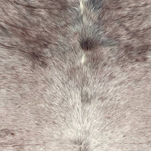 Closeup of this XL Speckled Brazilian Cowhide, showing white with brown speckles and spots, a touch of black on the shoulder, and longer hair down the spine (BRSP3653)