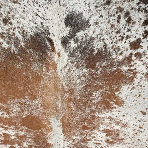 Closeup of this Tricolor Speckled Brazilian Cowhide, showing white with reddish brown, black, and dark brown speckles and spots (BRSP3657)