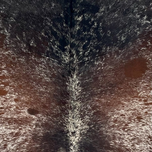 Closeup of this Large Tricolor Speckled Brazilian Cowhide, showing white with black and reddish brown speckles and spots (BRSP3658)