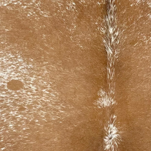 closeup of this Speckled Brazilian Cowhide, showing white with brown speckles and spots (BRSP3659)