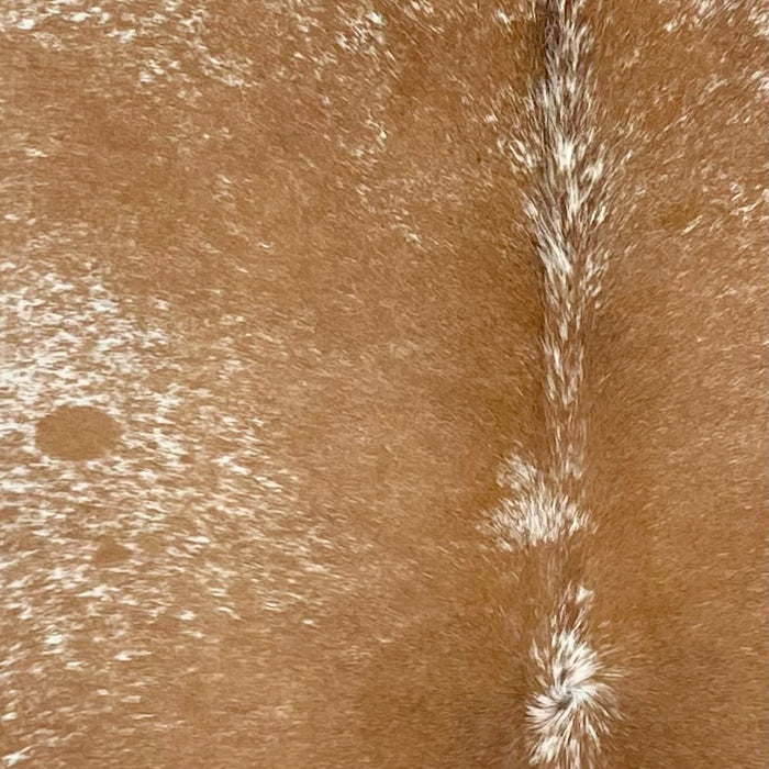 closeup of this Speckled Brazilian Cowhide, showing white with brown speckles and spots (BRSP3659)