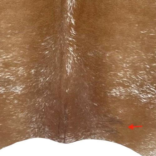 closeup of this brown and white Speckled Brazilian Cowhide, showing one brand mark on the right side of the butt  (BRSP3659)