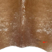 closeup of this brown and white Speckled Brazilian Cowhide, showing one brand mark on the right side of the butt  (BRSP3659)