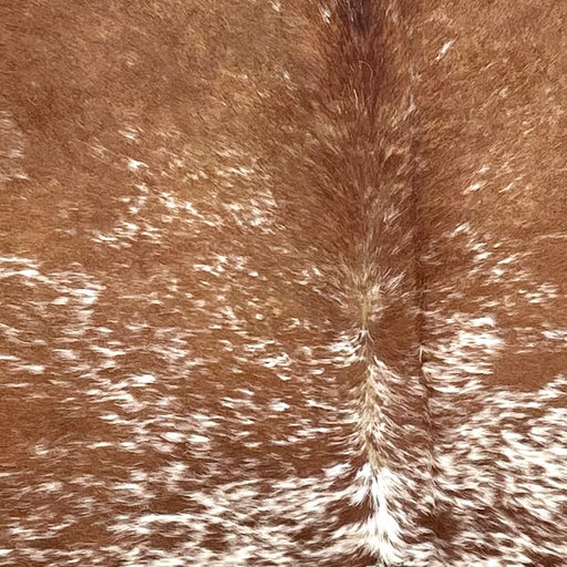 Closeup of this Speckled Brazilian Cowhide, showing brown with white speckles and spots  (BRSP3661)