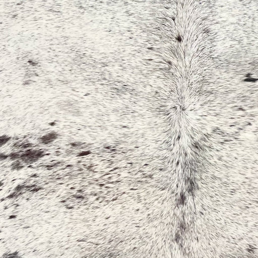 Closeup of this XL Tricolor Speckled Brazilian Cowhide, showing white with black and dark brown speckles and spots  (BRSP3663)