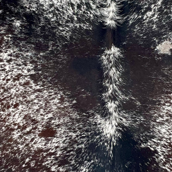 Closeup of this Tricolor Speckled Brazilian Cowhide, showing white with black and dark brown speckles and spots (BRSP3666)