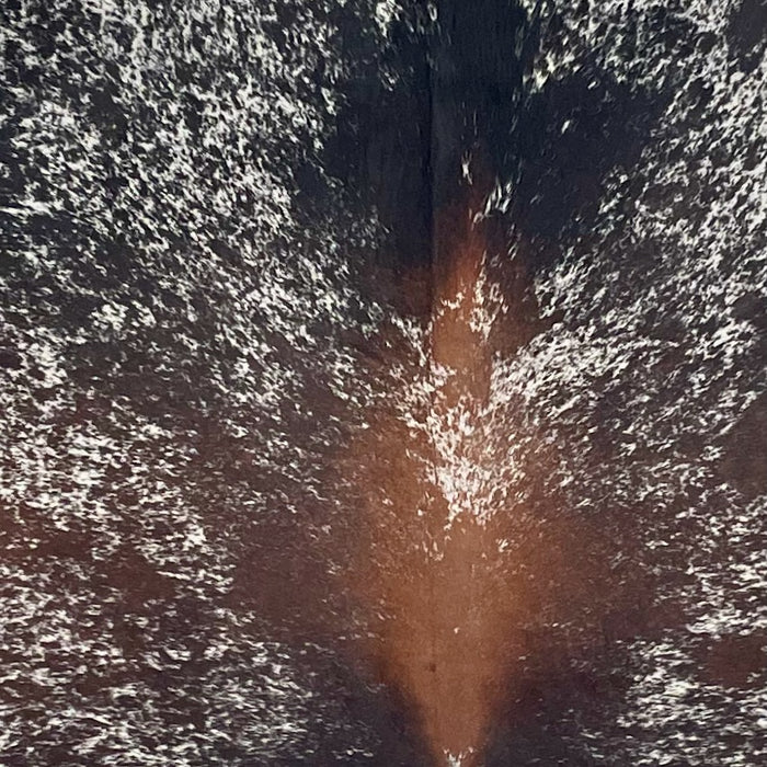 Closeup of this Large Tricolor Speckled Brazilian Cowhide, showing white with black and brown speckles and spots  (BRSP3667)
