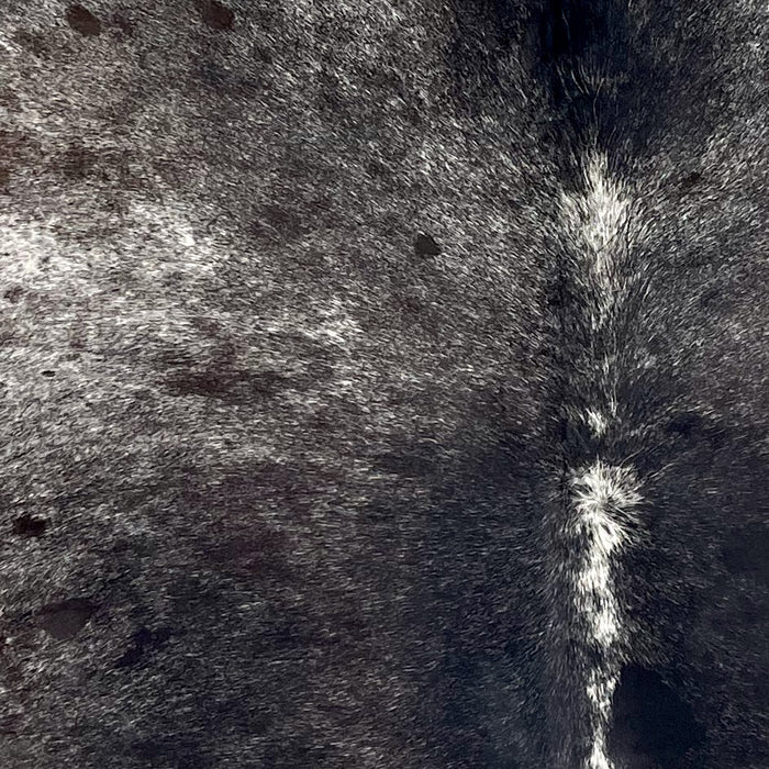 Closeup of this Dark Tricolor Speckled Brazilian Cowhide, showing white with black and dark brown speckles and spots  (BRSP3670)