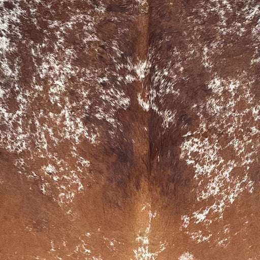 Closeup of this Large Tricolor Speckled Brazilian Cowhide, showing white with reddish brown and black spots and speckles (BRSP3672)