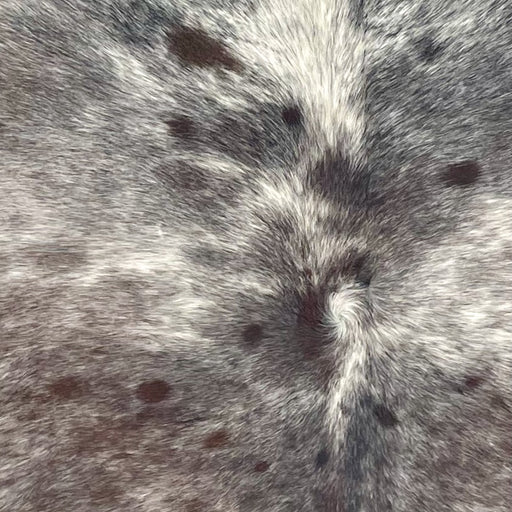 Closeup of this Large Tricolor Speckled Brazilian Cowhide, showing white with brown and black speckles and spots (BRSP3673)