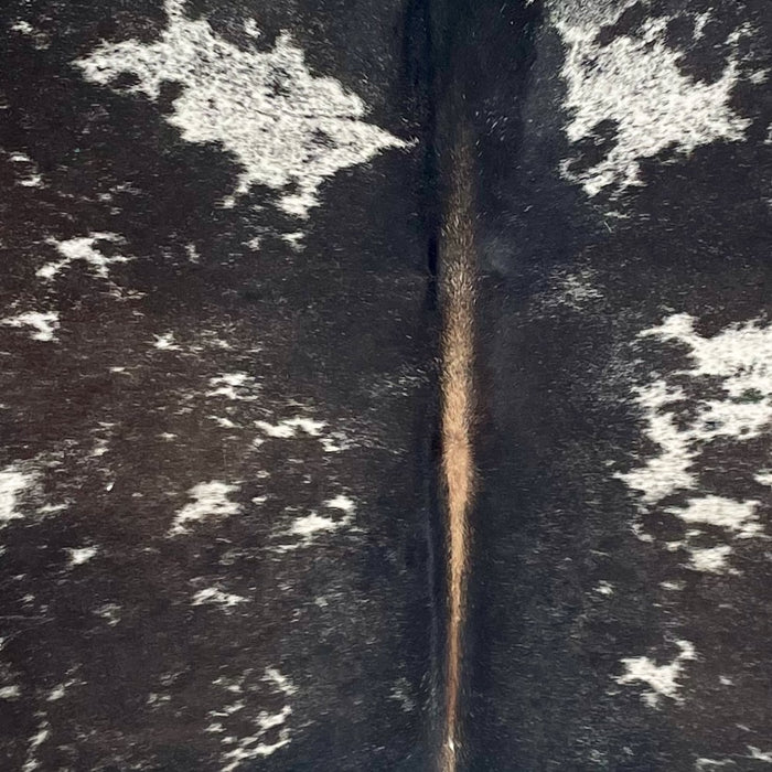 Closeup of this Speckled Brazilian Cowhide, showing white with blackish brown speckles and spots, lighter brown down the spine (BRSP3676)