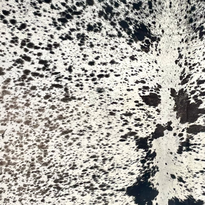 Closeup of this Large Tricolor Speckled Brazilian Cowhide, showing white with black and brown speckles and spots (BRSP3677)