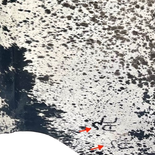 Closeup of this Large Tricolor Speckled Brazilian Cowhide, showing two brand marks on the right side of the butt  (BRSP3677)