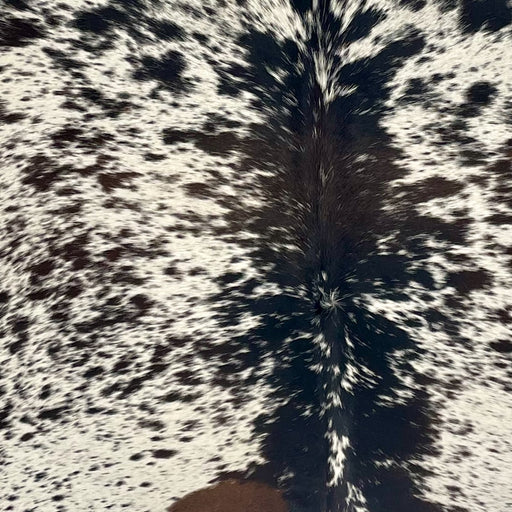 Closeup of this Large Tricolor Speckled Brazilian Cowhide, showing ivory with black and dark brown speckles and spots  (BRSP3680)