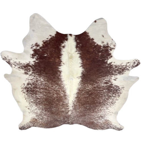 XL Reddish Brown and Off-White Speckled Brazilian Cowhide: reddish brown with off-white speckles, and off-white down the middle and on the belly, shanks, and neck - 8'2" x 6'6" (BRSP3681)