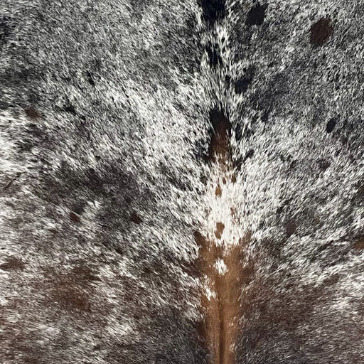Closeup of this Tricolor Speckled Brazilian Cowhide, showing white with black and brown speckles and spots (BRSP3685)