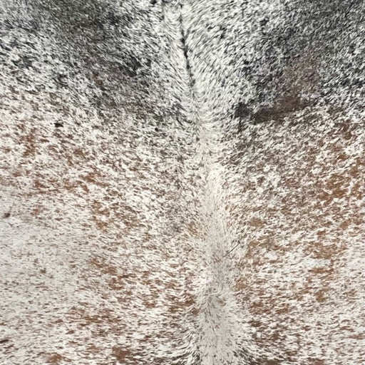 Closeup of this XL Tricolor Speckled Brazilian Cowhide, showing white with black and brown speckles and spots  (BRSP3686)