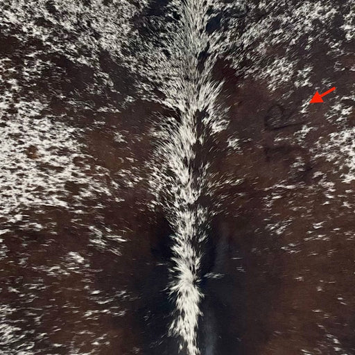 Closeup of this Speckled Brazilian Cowhide, showing white with dark brown speckles and spots, and one brand mark on the right side of the back (BRSP3689)