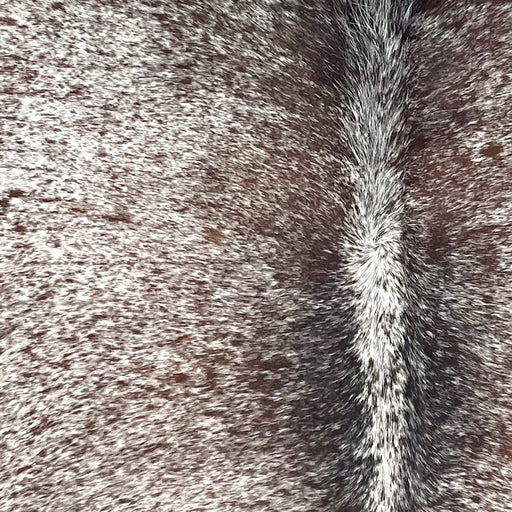 Closeup of this Speckled Brazilian Cowhide, showing white with brown speckles and spots (BRSP3690)