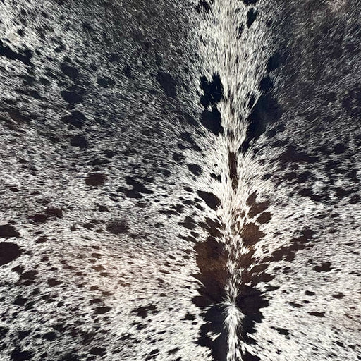 Closeup of this Dark Tricolor Speckled Brazilian Cowhide, showing white with black and dark brown speckles and spots (BRSP3692)