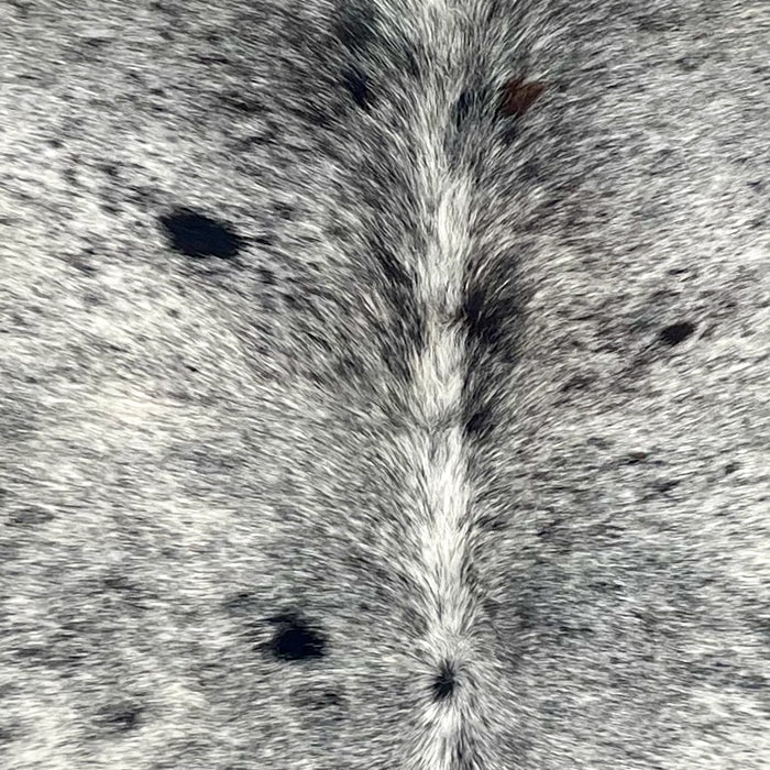 Closeup of this Speckled Brazilian Cowhide, showing white with black speckles and spots (BRSP3695)