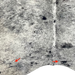 Closeup of this Black and White Speckled Brazilian Cowhide, showing two brand marks on the right side of the butt  (BRSP3695)
