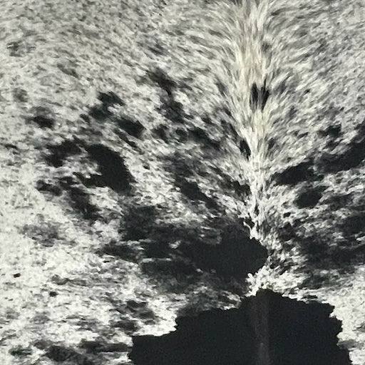 Closeup of this XL Speckled Brazilian Cowhide, showing white and off-white with black speckles and large and small, black spots  (BRSP3696)
