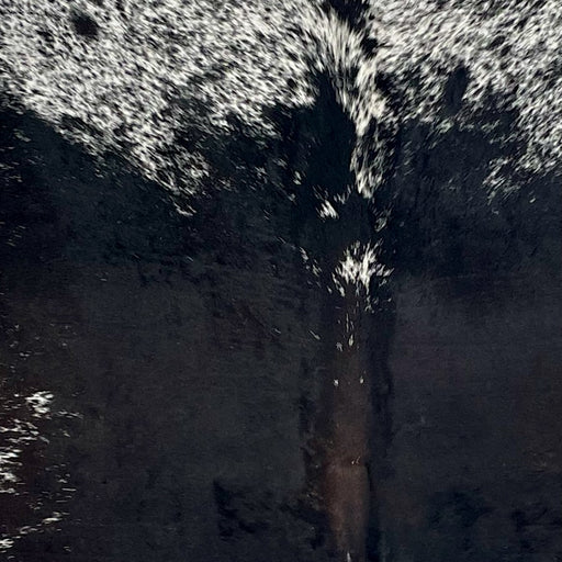Closeup of this Large Speckled Brazilian Cowhide, showing mostly solid black down the middle, dark brown down part of the spine, and white with black speckles and spots on the shoulder (BRSP3698)