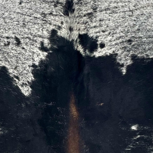 Closeup of this Large Speckled Brazilian Cowhide, showing white with black speckles and spots and dark brown down part of the spine (BRSP3699)