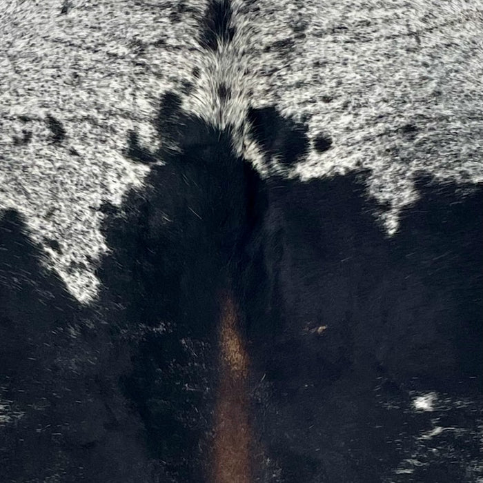 Closeup of this Large Speckled Brazilian Cowhide, showing white with black speckles and spots and dark brown down part of the spine (BRSP3699)