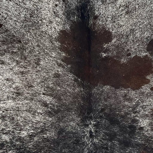 Closeup of this Speckled Brazilian Cowhide, showing black and white speckled with a dark brown spot in the middle of the shoulder (BRSP3702)
