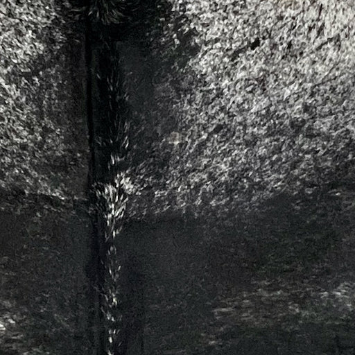 Closeup of this XXL Speckled Brazilian Cowhide, showing mostly black, with a few white speckles, and white with black speckles and spots on the shoulder  (BRSP3703)