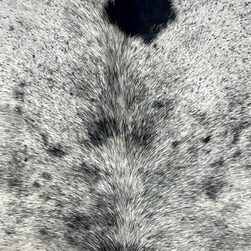 Closeup of this Speckled Brazilian Cowhide, showing white with black speckles and spots  (BRSP3704)