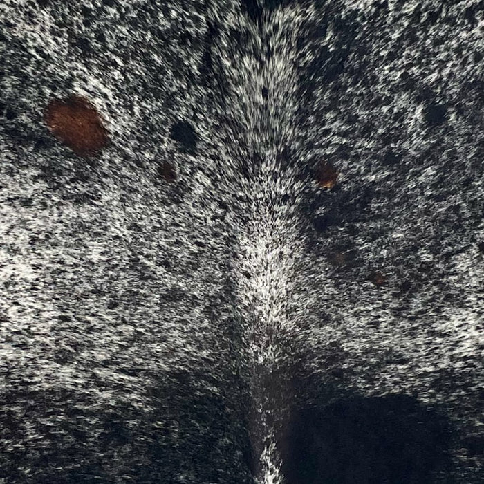 Closeup of this Large Speckled Brazilian Cowhide, showing white with black speckles and large and small, black spots, and one small, brown spot on the left side of the shoulder (BRSP3705)