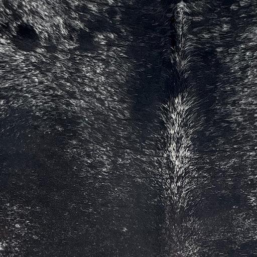 Closeup of this Speckled Brazilian Cowhide, showing white with black speckles and large and small, black spots  (BRSP3706)