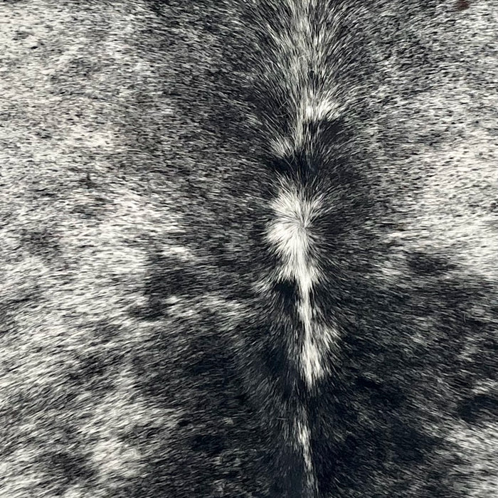 Closeup of this Speckled Brazilian Cowhide, showing white with black speckles and spots (BRSP3708)