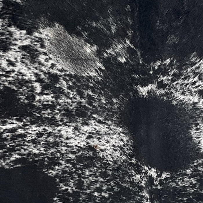 Closeup of this Speckled Brazilian Cowhide, showing white with black speckles and large and small, black spots  (BRSP3709)