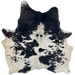 Black and White Speckled Brazilian Cowhide: white with black speckles, large and small, black spots, and off-white on the belly and hind shanks - 6'11" x 5'11" (BRSP3711)