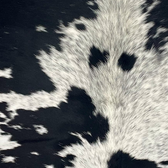 Closeup of this Speckled Brazilian Cowhide, showing white with black speckles, and large and small, black spots (BRSP3711)