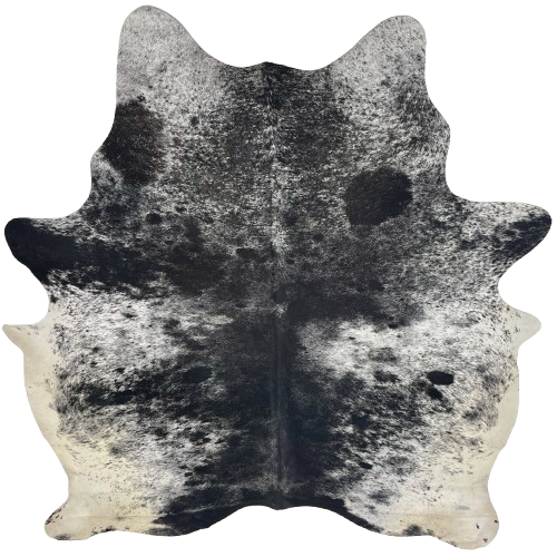 Black and White Speckled Brazilian Cowhide: white with black speckles and spots, and off-white on the belly, butt, and hind shanks - 7'1" x 5'11" (BRSP3716)