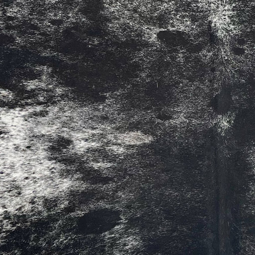 Closeup of this Speckled Brazilian Cowhide, showing white with black speckles and spots (BRSP3716)